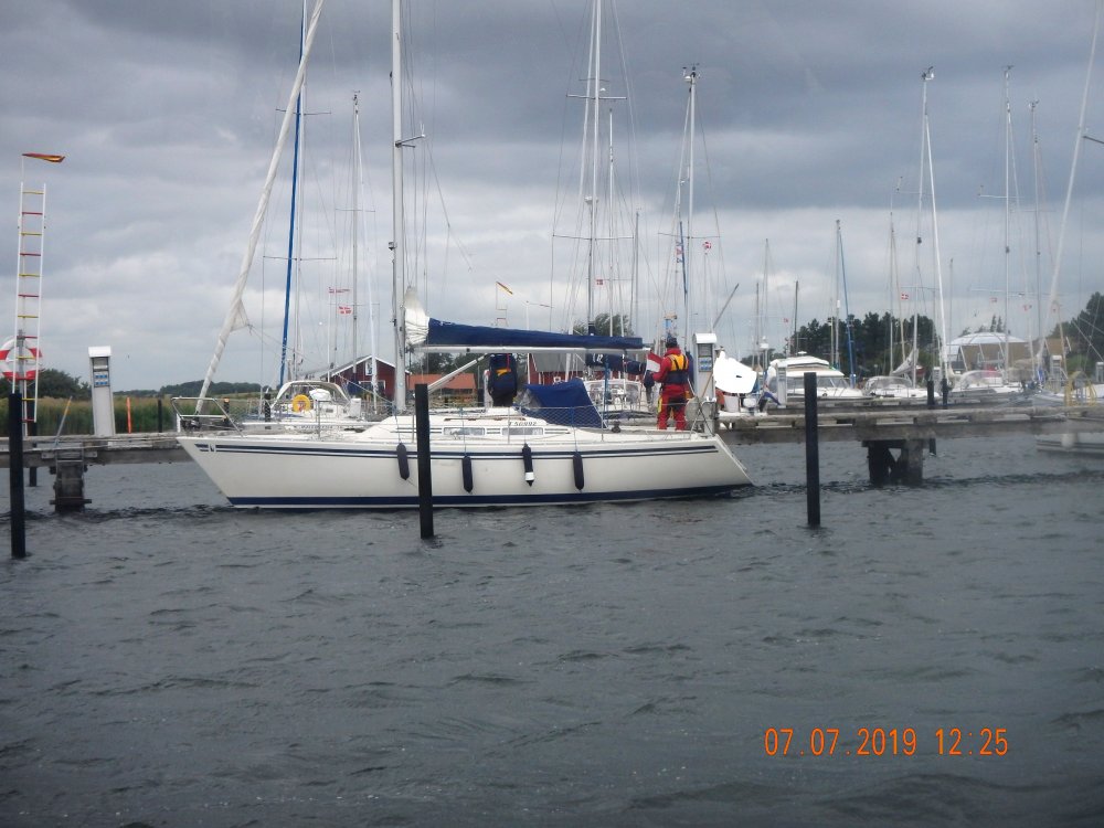 avg_DSCN4982_LI.jpg.48c9ee4fc8eb487fb40ef35de61a285a.jpg