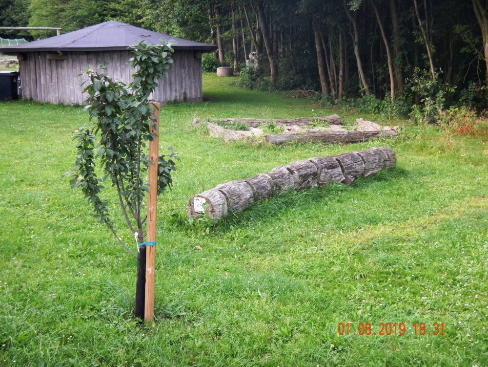 1339202308_sykkelDSCN5537.JPG.cbeb95983795e4e35eb2e0a40018d2b0.JPG
