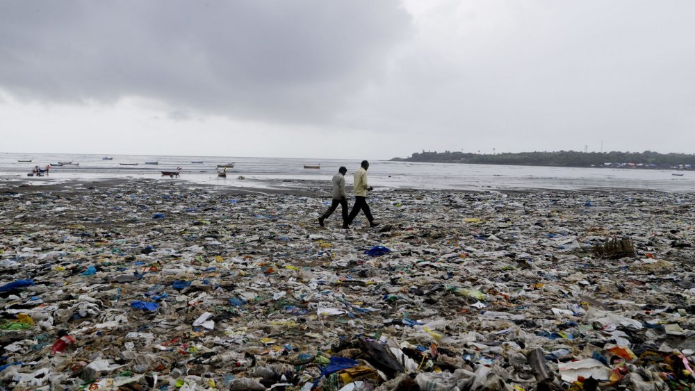 1673912740_StrandenVersovaiMumbai_India.jpg.041c619d3a7ed18507572257b2c6ad7e.jpg