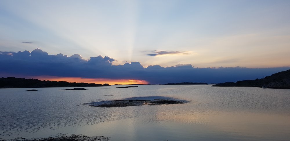 20190613_212955.jpg.6b9ffbf76d0c63c4de01ecbe378696e8.jpg
