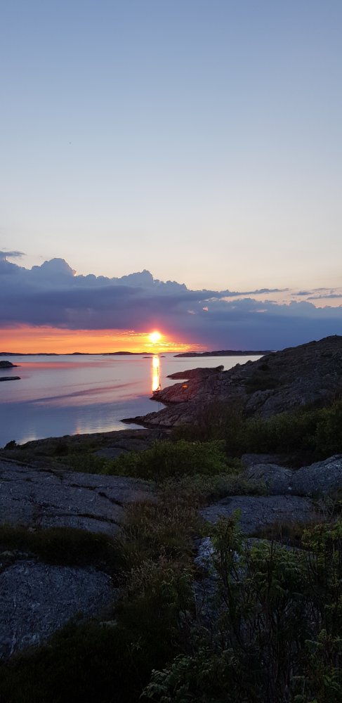20190613_214844.jpg.879c6580d06c3f0ba67f9fdae572edf2.jpg