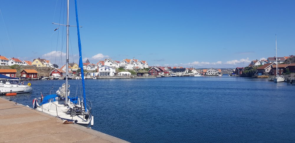 20190617_145003.jpg.d1ecf61fc94dce8f94de0b0236607fdf.jpg