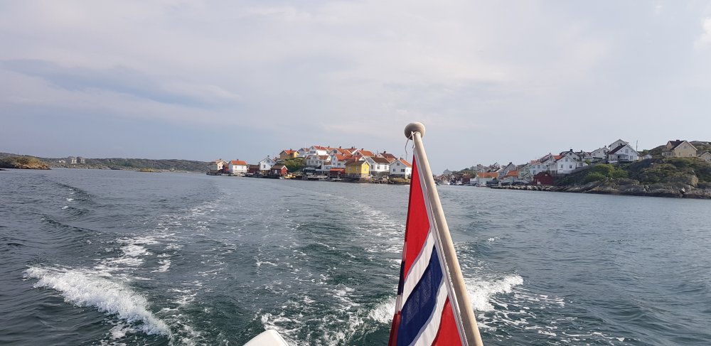 20190618_175446.jpg.212bc76a38956bddbbda0177bfdbfb08.jpg