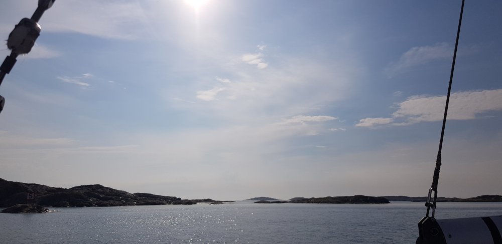 20190618_175521.jpg.b0f89b31165058c4d1ee7e2891c17f92.jpg