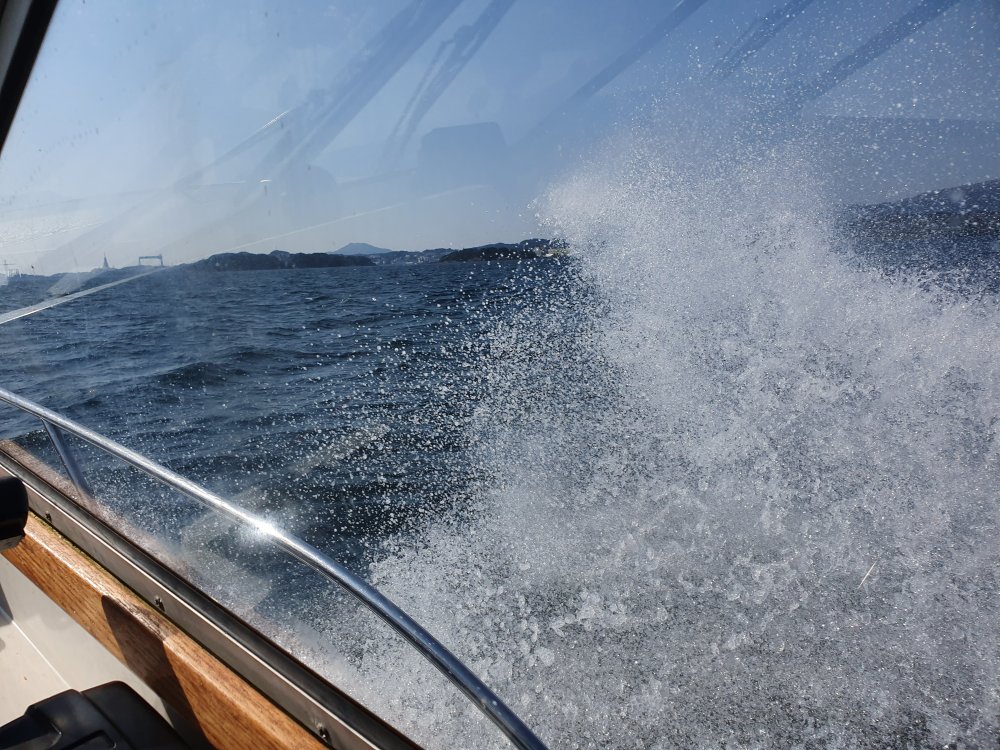 20190826_140843.jpg.d131aff27dc8efde74bc497368959045.jpg