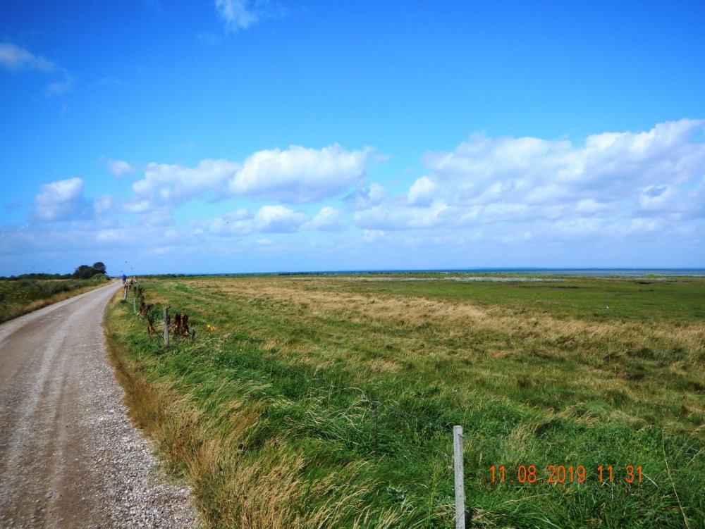 543459737_Streandvei.JPG.e6858bb6920a57d46f5af7fd88bb562d.JPG
