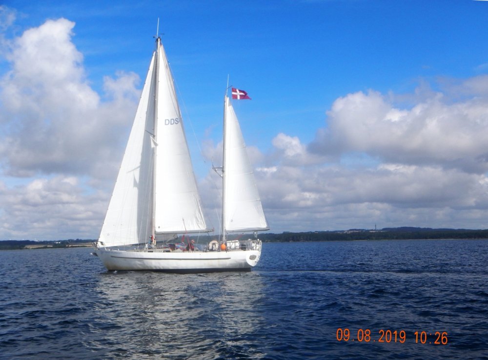 663753138_pslrDSCN5746.JPG.822fc690479571956dcfb9e87bd6e7a1.JPG