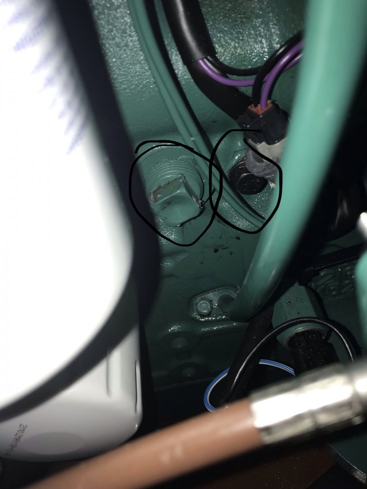 A46880CF-238F-4FA3-92FC-DBDF90028EBB.jpeg.d5c747d41a71db1c31db39b1fd15998e.jpeg