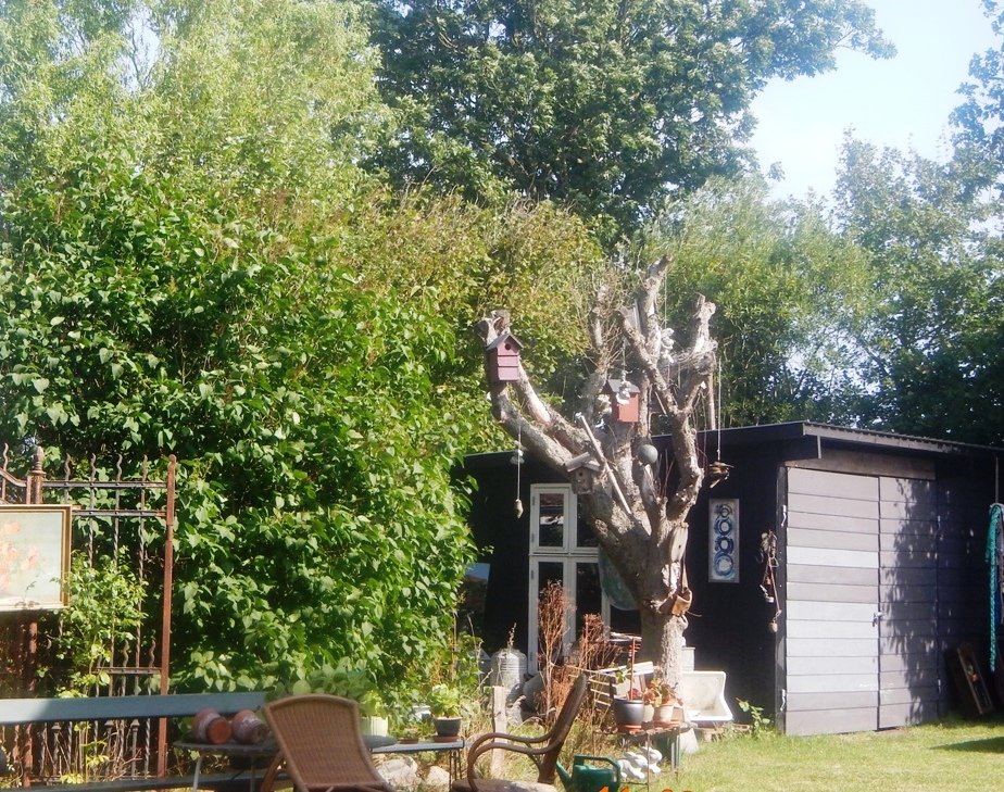 DSCN5791.JPG.646a2d727a21afa0cfbef94fa89832a0.JPG