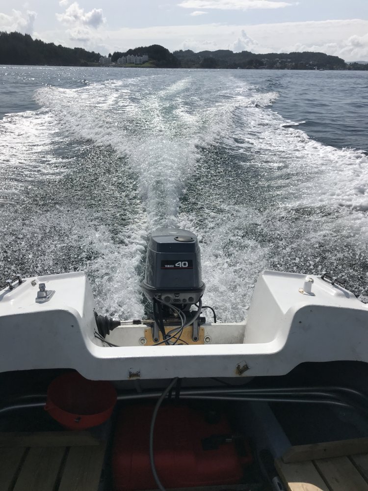 E369743E-292E-40AB-BFE2-40EDBABD79A0.jpeg.dd76062bc51c31e7229f0d250535f325.jpeg