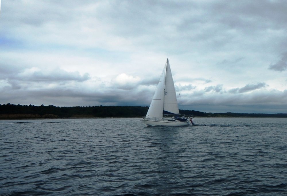danskeDSCN5954.JPG.39cf0ec692e0acebe5e7ca8dda95f737.JPG