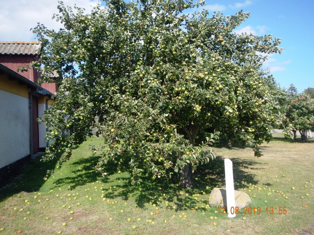 epler_DSCN5841.JPG.6068583c146077436c0916385d636d5f.JPG
