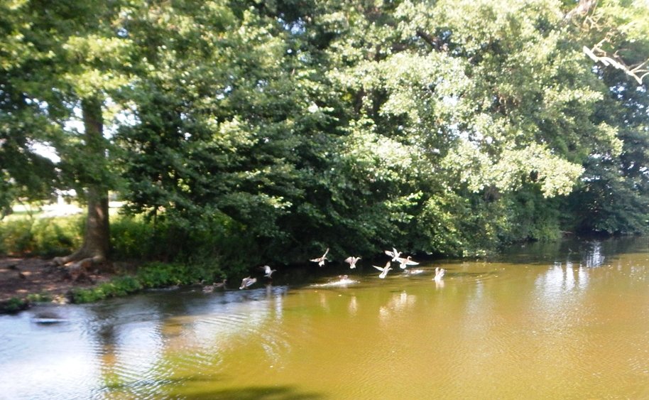 landingDSCN5847.JPG.ebcbfc79f106c7ad79dc91c2a25aac03.JPG