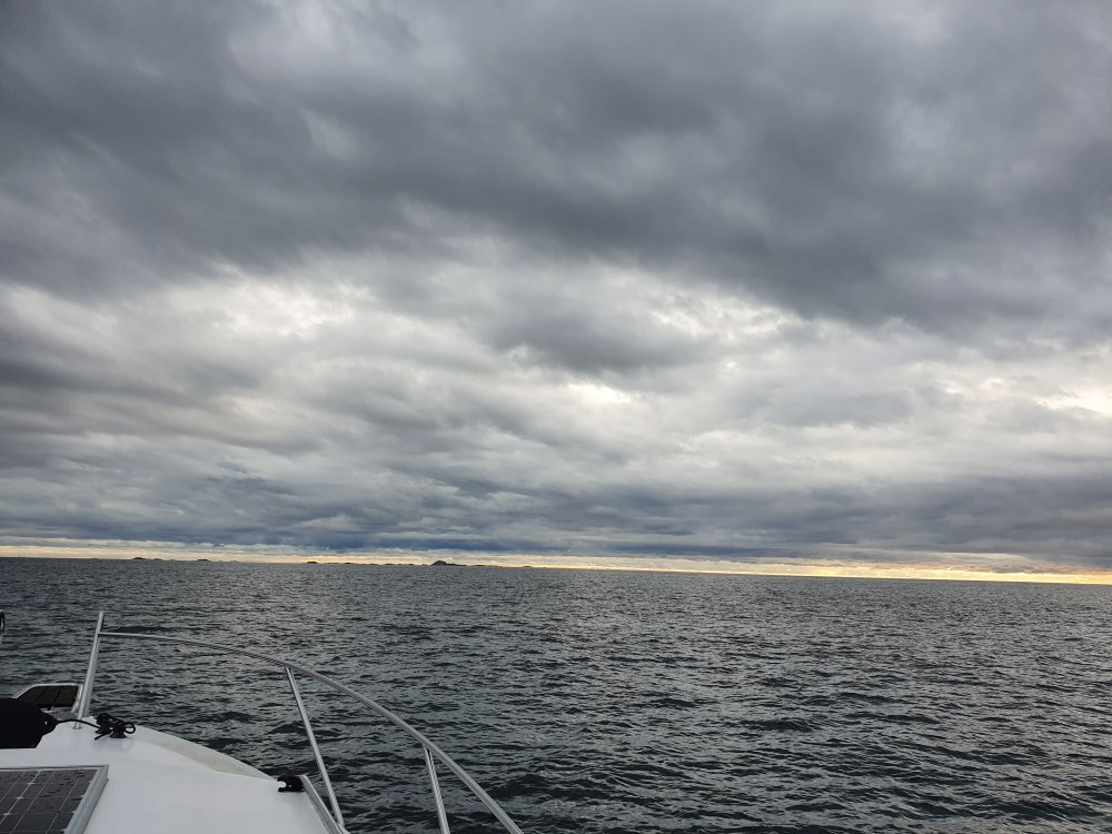 20190909_191221.jpg.01306090b6b30b11248b61942f1dc185.jpg