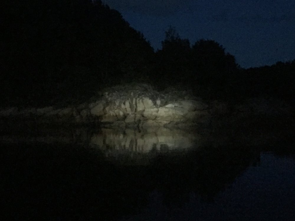 53169D5C-381E-4B9F-96D0-2C5B77FA5439.jpeg.51972c58edd03df9c26daeb0314218ac.jpeg
