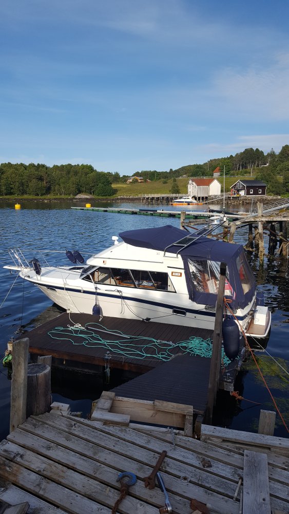 20190717_185313.jpg.c35661ca232f7a714688bbd962ba3ea3.jpg