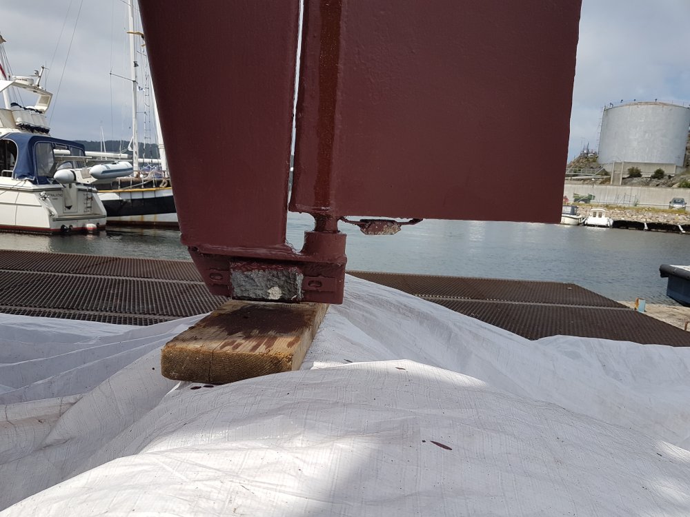 20190714_124319.jpg.884c4e561aae0cfe92f0b76a5055362f.jpg