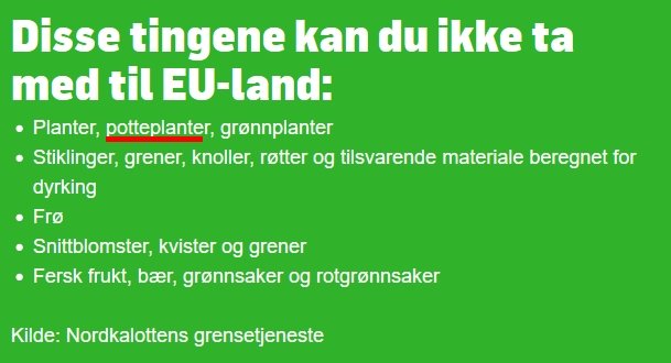 potteplanter.jpg.06a7e07caf69eef14a20656ed4e2f853.jpg