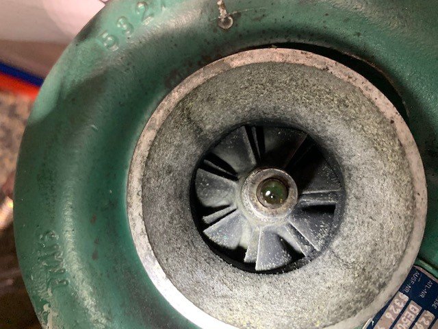 1764184252_Turbo5.jpg.c14994cff76548ff31b3c2929142cd47.jpg