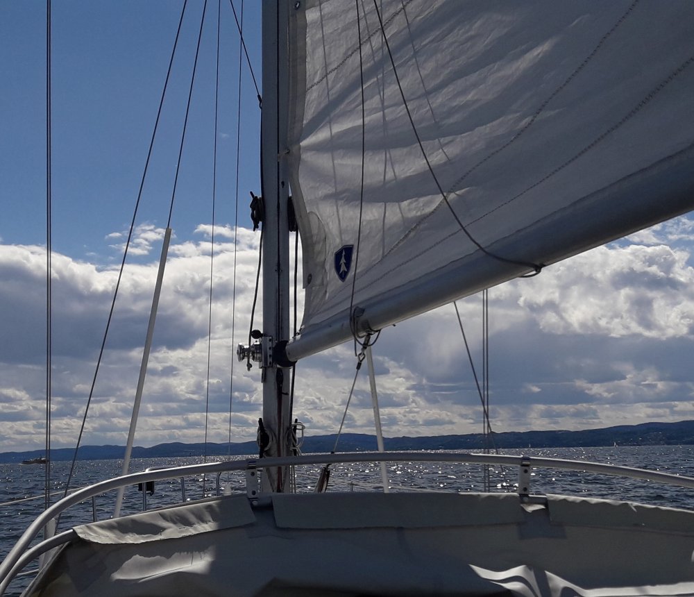 20190704_150238.jpg.3a6d2875919475c914e5c27c20015ab9.jpg