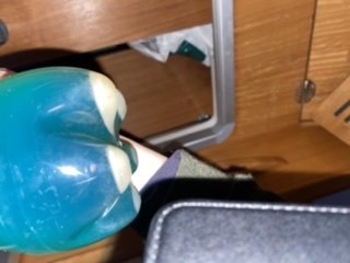 ED73C649-020E-49CC-8557-672883EC72E2.jpeg.bfcb3f49c1db529b502cfa1a1d7e842c.jpeg