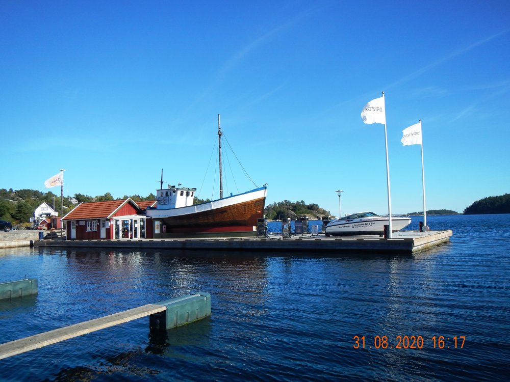DSCN7585.JPG.77ff9acf70af9060336a8cdef2fc4b55.JPG