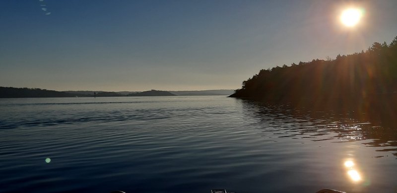 1111513754_Torbjrnskjr2.jpg.a56d69a36498bf2d9733e53d436c9791.jpg