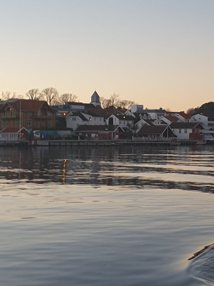 20201106_162656.jpg.a07bf0f2f63fc53c207971b5f8fa5dc7.jpg