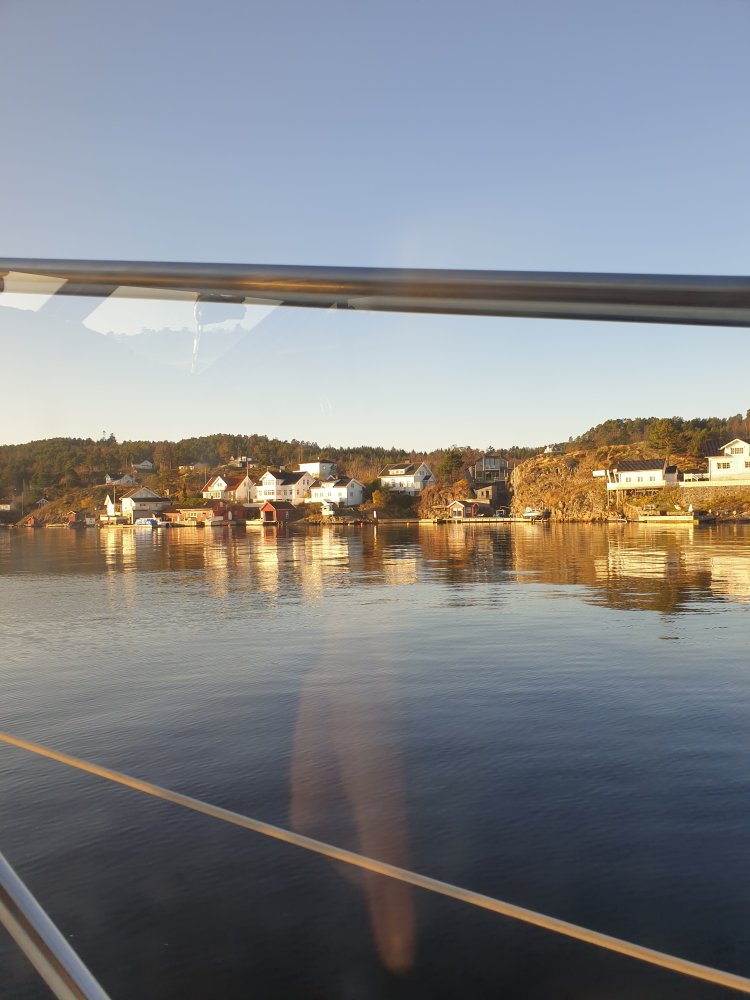 20201107_091645.jpg.f36293f43c85fffc27c35eebf96ebe5b.jpg