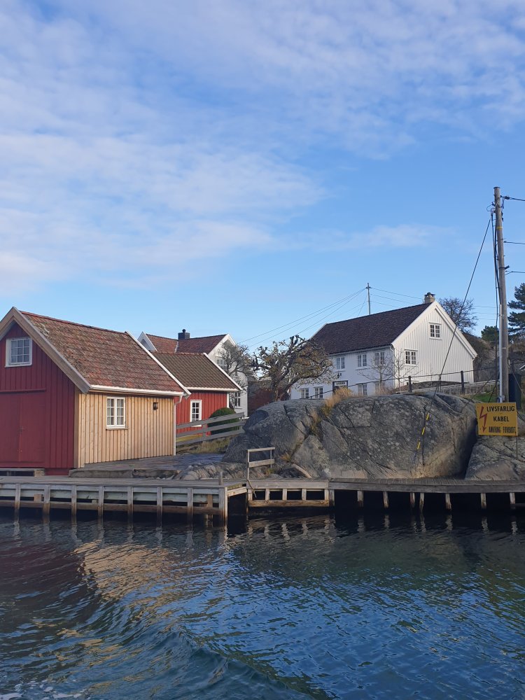 20201107_120255.jpg.a91eed6634a9ed17f451e38807dbf530.jpg