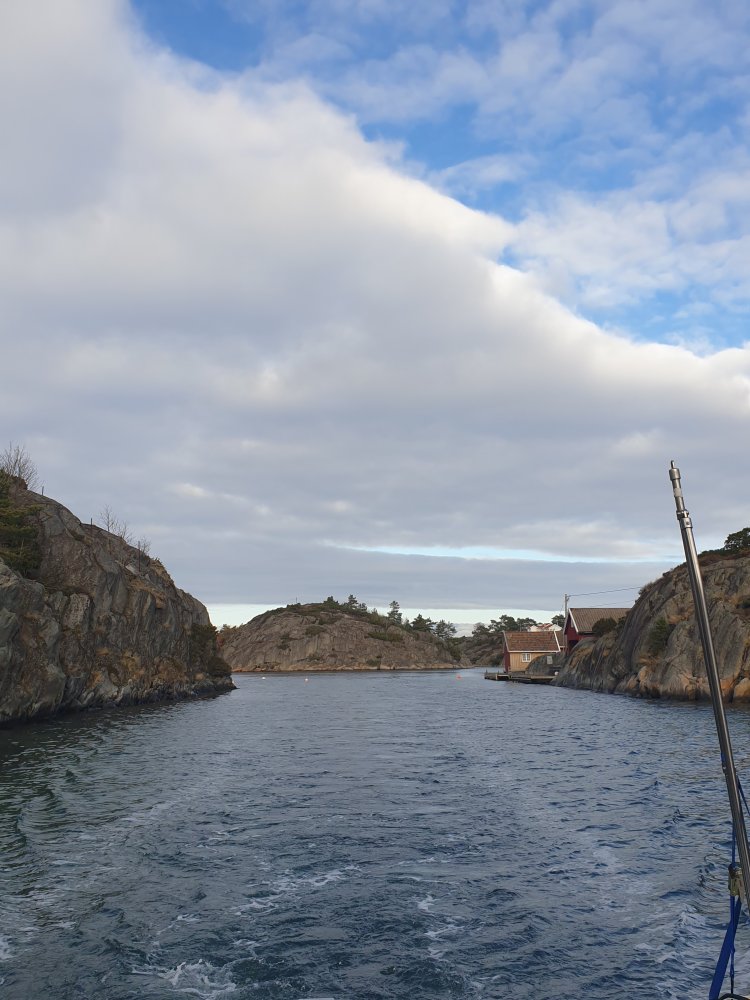 20201107_120334.jpg.b712a8be4d6501c524d0c0d484d15371.jpg