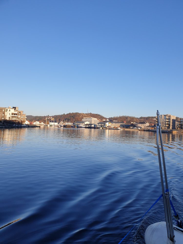 20201108_092508.jpg.58aa8c732681e5d8be5f90700cdd4407.jpg