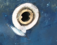 image.png.ca96be2687d33d69d189c1b1ba2f42e1.png
