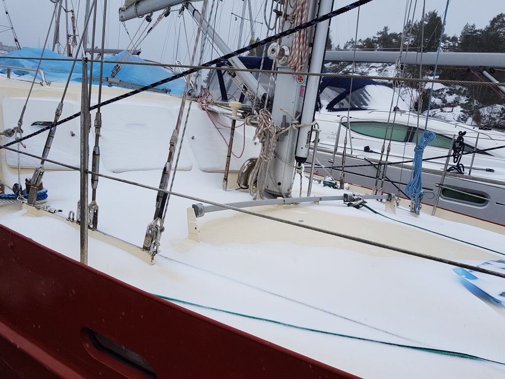 20190127_134841.jpg.4abe941e491ca0f2be8ed2944eef5954.jpg