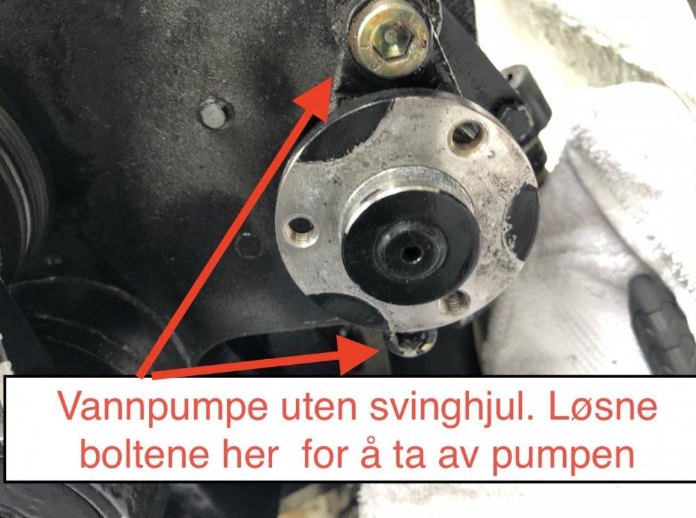 4.jpg.092aecbb1f270af50d932c137484fcd8.jpg