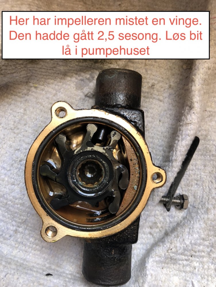 7.jpg.6af99019156d7124cd9cbf3ea3b6e130.jpg
