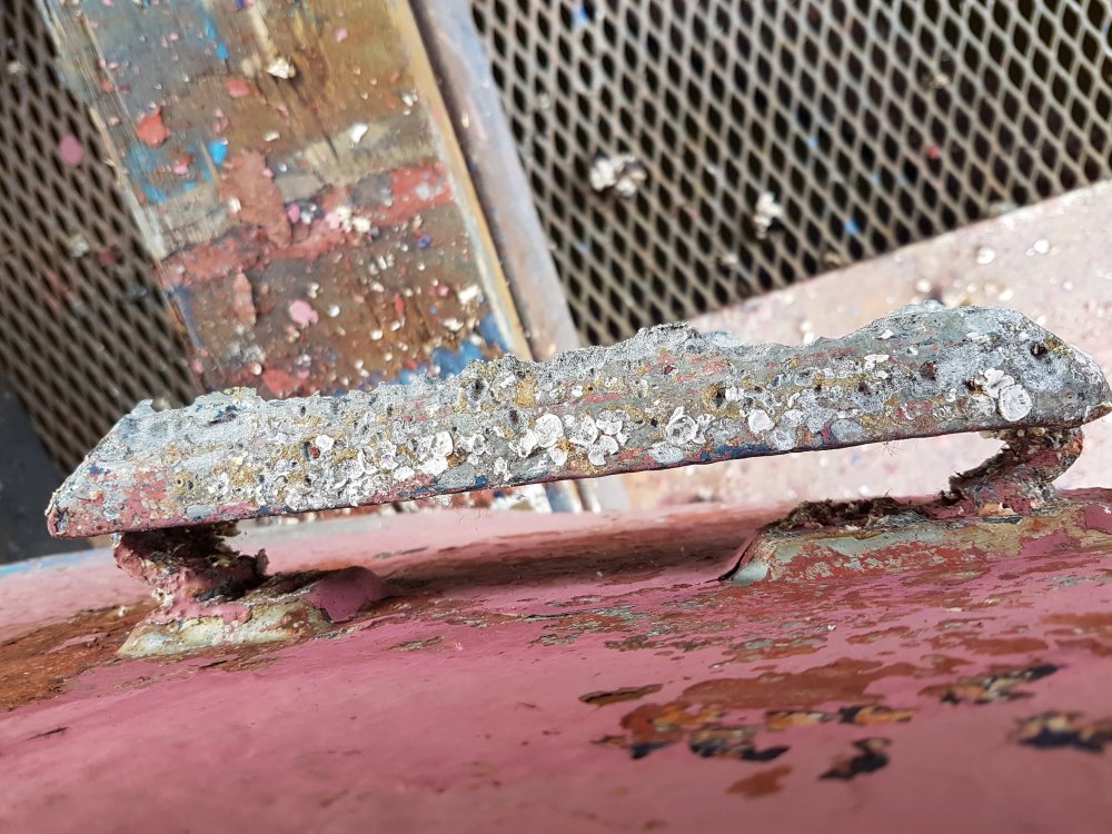 20190702_095746.jpg.bdd5002c90b83f8d86191153d023d3af.jpg