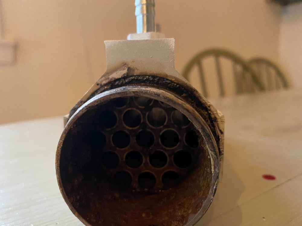 Image from iOS (1).jpg