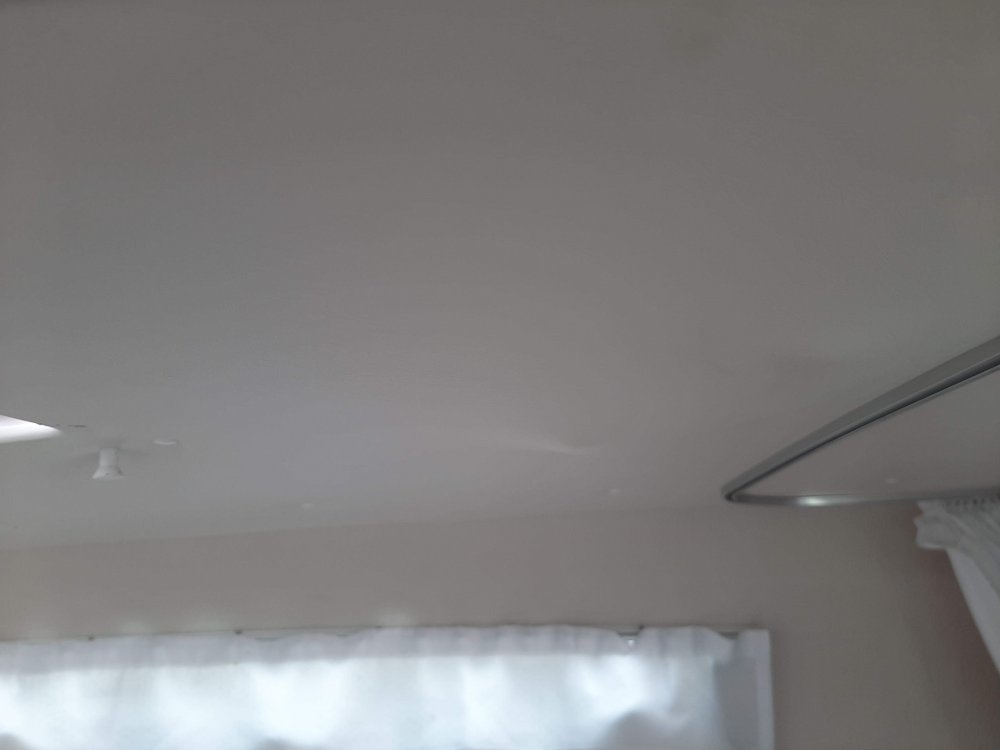 received_5556910491000926.jpeg