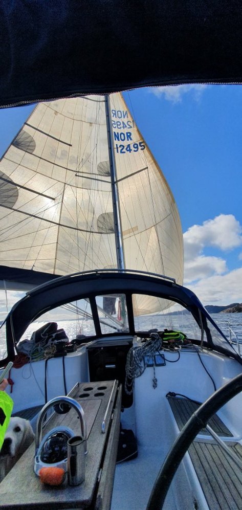 20210401_115208.jpg.3e30589bd62ea576ef82bc163ff2fdd7.jpg