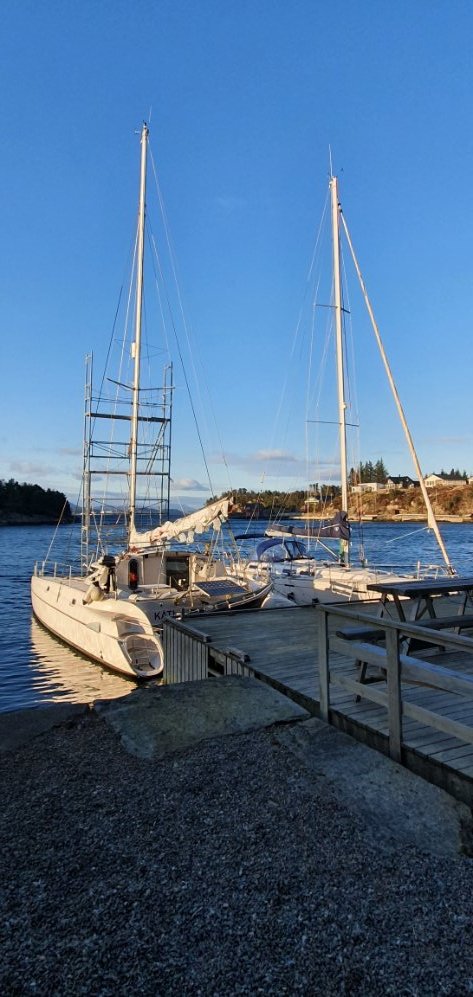 20210401_184916.jpg.e80156e2ae661fa870e674ba3e8cbcd7.jpg