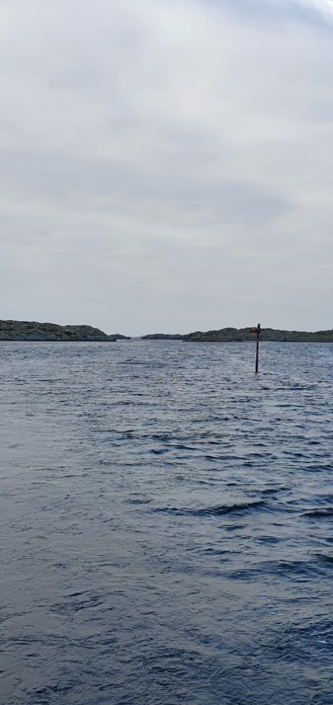 20210403_181735.jpg.6fdbf6f21c4143c10a23c32bec3ed363.jpg