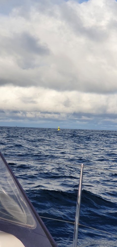 20210414_081605.jpg.abd9ebd282620b82a5dd7a6126d294e2.jpg