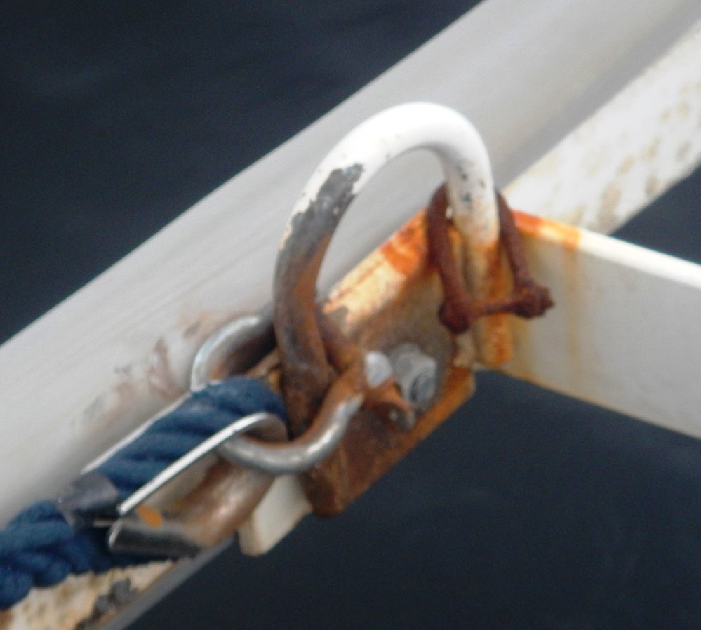 rustDSCN8041.JPG.664ee7a42cf77d1a9248b6ac54e4a2d4.JPG