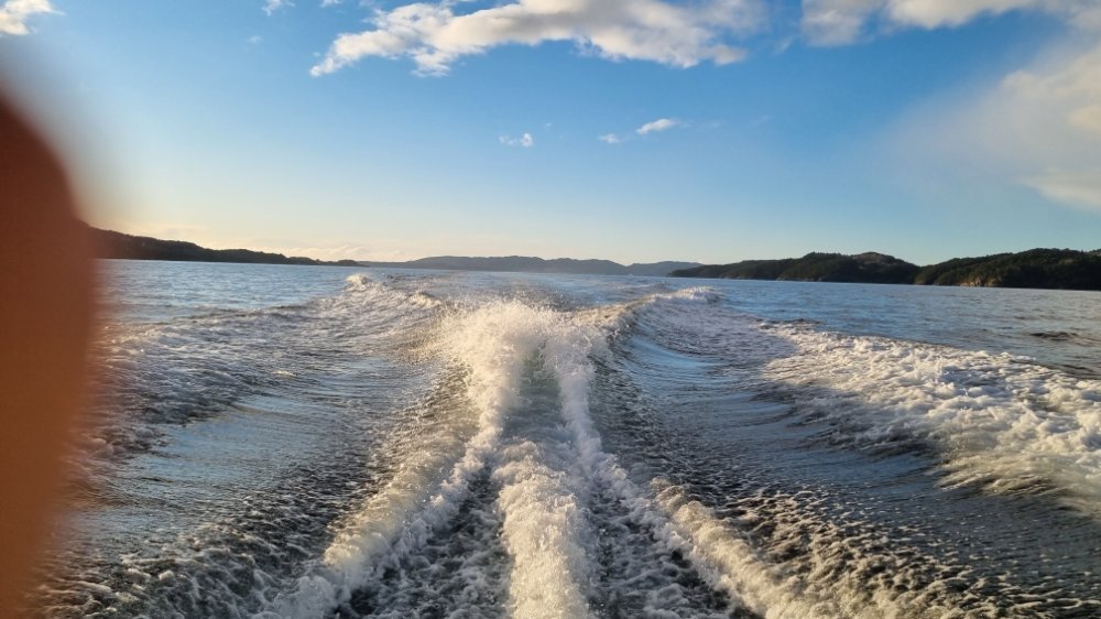 20220329_190553.jpg.bf9bf206c8f0ab42754a930087267925.jpg