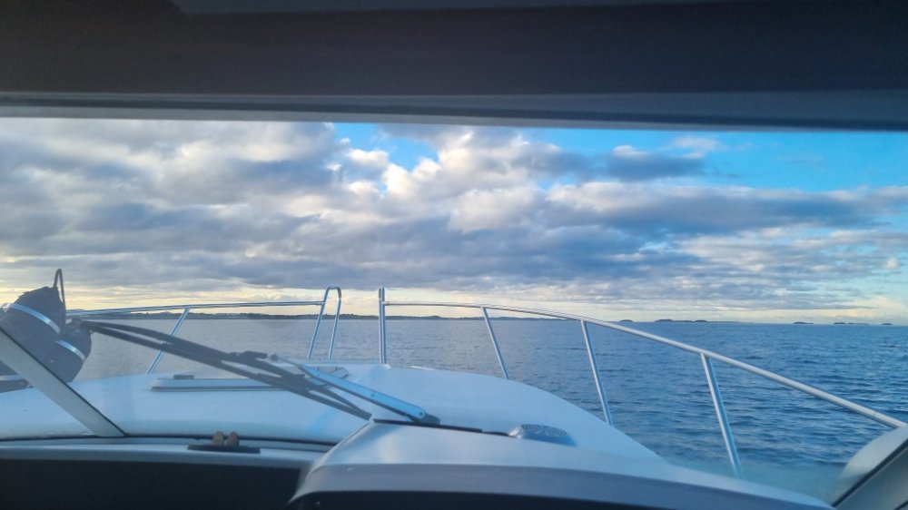 20220330_085612.jpg.6d2b9c8aea122998f9826d4602812674.jpg