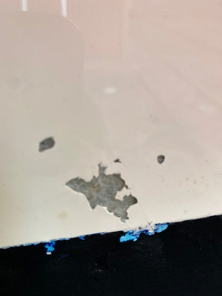 4E185B8B-FEE4-47D9-9C9C-1EAE17024E02.jpeg.feb778b6d3562250d7158ea5394325d8.jpeg