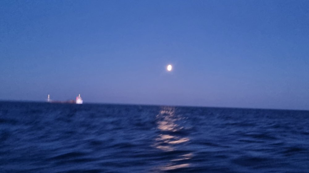 20220418_053711.jpg.41382887a2788e5668be1793a1ac38e0.jpg