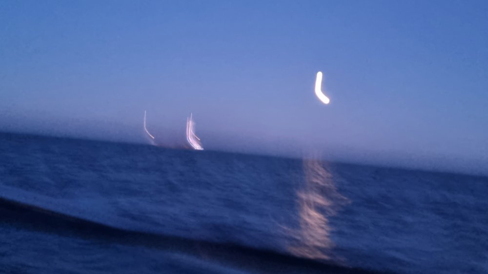 20220418_053719.jpg.07a2d83c803e2f57f4417b1829f421dc.jpg