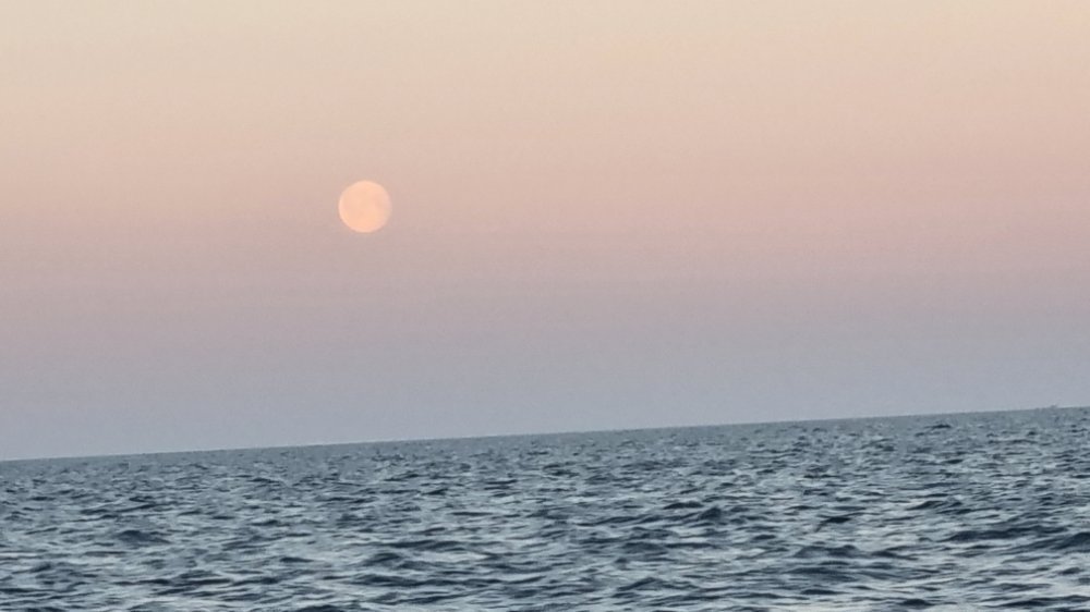 20220418_062603.jpg.b4fa5715d040688e58812bf9137c7203.jpg